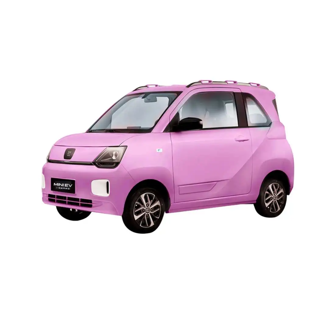 Mini Ev High Trim
